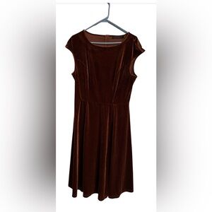 Dress Tells, size large velvet dress